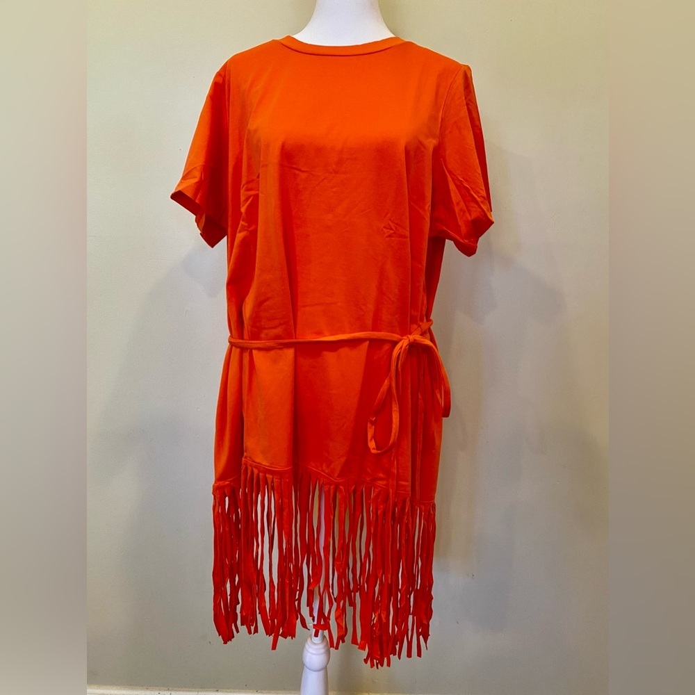 DG2 By Diane Gilman Fringed Tunic Size 1X NWT 1B2 - Picture 1 of 7